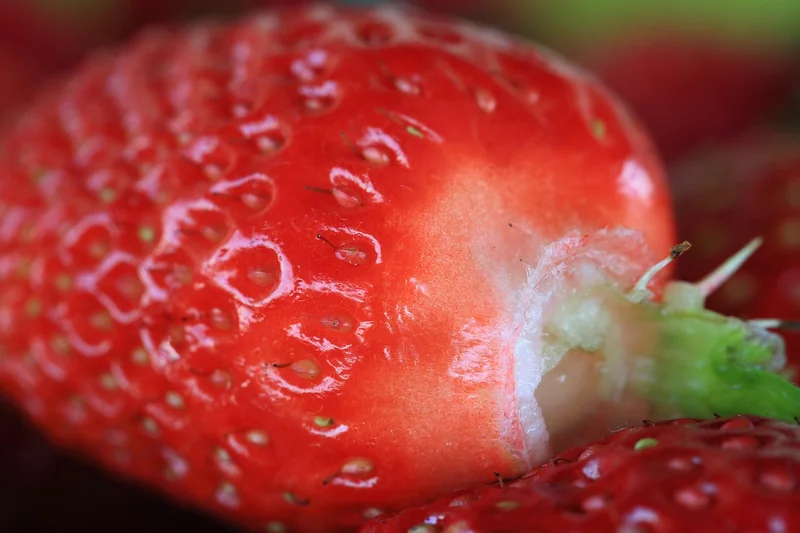 Gesunde Ernährung: Wie du dich einfach ausgewogen ernähren kannst